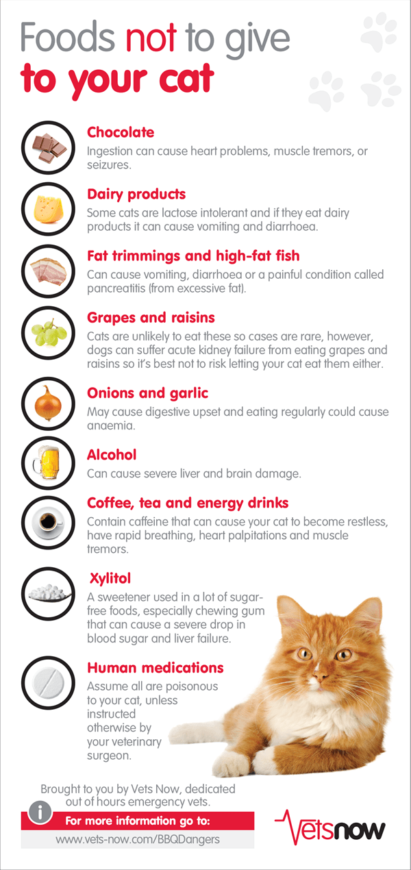 what is harmful to cats