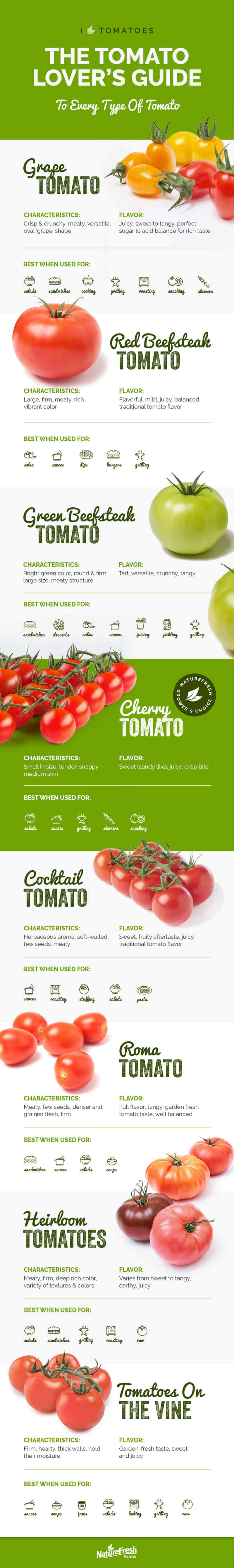 can dogs and cats eat tomatoes