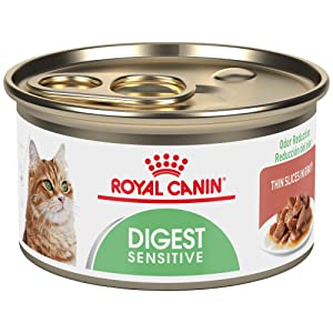 Royal Canin Digest Sensitive Gravy Canned Wet Cat Food