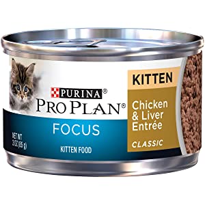 Purina Pro Plan Focus Kitten Classic Canned Food